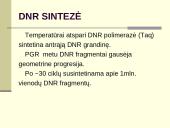 Polimerazės grandininė reakcija (PGR) 14 puslapis
