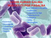 Polimerazės grandininė reakcija (PGR) 15 puslapis