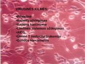 Polimerazės grandininė reakcija (PGR) 16 puslapis