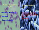 Polimerazės grandininė reakcija (PGR) 17 puslapis
