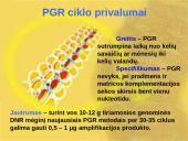 Polimerazės grandininė reakcija (PGR) 18 puslapis