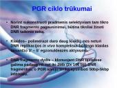 Polimerazės grandininė reakcija (PGR) 19 puslapis