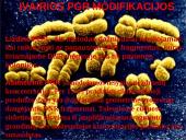 Polimerazės grandininė reakcija (PGR) 20 puslapis