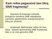 Polimerazės grandininė reakcija (PGR) 3 puslapis