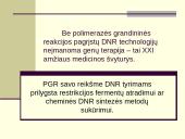 Polimerazės grandininė reakcija (PGR) 7 puslapis