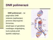 Polimerazės grandininė reakcija (PGR) 9 puslapis