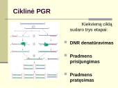 Polimerazės grandininė reakcija (PGR) 10 puslapis