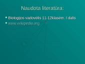 Genų terapija — realybė 11 puslapis