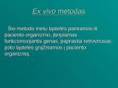 Genų terapija — realybė 3 puslapis