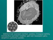 Genų terapija — realybė 9 puslapis