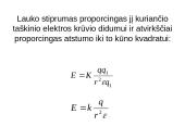 Geometriniai elektrinių laukų modeliai 6 puslapis