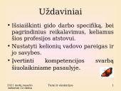 Gidų ir kelionių vadovų kompetencijos nustatymo analizė 3 puslapis
