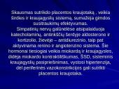 Gimdymo skausmo malšinimas 3 puslapis