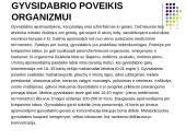 Gyvsidabrio elementas 9 puslapis