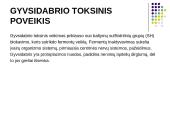 Gyvsidabrio elementas 10 puslapis