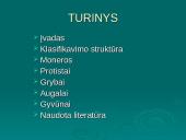 Gyvų organizmų klasifikacija 2 puslapis