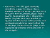 Gyvų organizmų klasifikacija 3 puslapis
