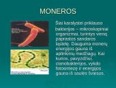 Gyvų organizmų klasifikacija 5 puslapis