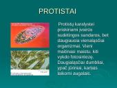 Gyvų organizmų klasifikacija 6 puslapis