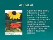 Gyvų organizmų klasifikacija 8 puslapis