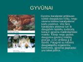 Gyvų organizmų klasifikacija 9 puslapis