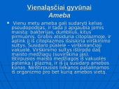 Gyvųjų organizmų mityba ir maitinimasis 2 puslapis