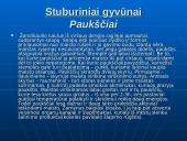 Gyvųjų organizmų mityba ir maitinimasis 13 puslapis