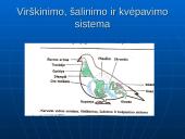 Gyvųjų organizmų mityba ir maitinimasis 14 puslapis