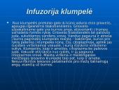 Gyvųjų organizmų mityba ir maitinimasis 6 puslapis