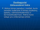 Gyvųjų organizmų mityba ir maitinimasis 8 puslapis