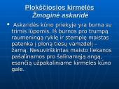 Gyvųjų organizmų mityba ir maitinimasis 9 puslapis