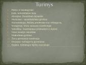 Skirtingi gyvūnų tipai 2 puslapis