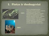 Skirtingi gyvūnų tipai 3 puslapis