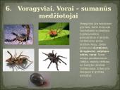 Skirtingi gyvūnų tipai 8 puslapis