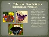 Skirtingi gyvūnų tipai 9 puslapis