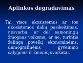 Globalizacija ir aplinka 2 puslapis