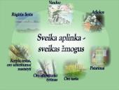 Globalizacija ir aplinka 15 puslapis