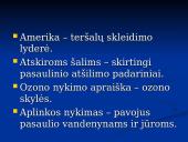 Globalizacija ir aplinka 7 puslapis