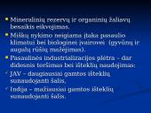 Globalizacija ir aplinka 8 puslapis