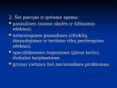 Globalizacija ir aplinka 10 puslapis