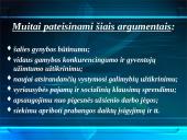 Globalizacija ir tarptautinė prekyba 19 puslapis