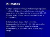 Graikijos faktai 11 puslapis