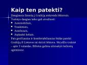 Graikijos faktai 4 puslapis