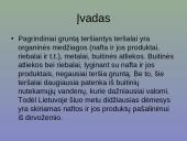 Grunto valymas 2 puslapis