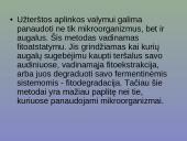 Grunto valymas 12 puslapis