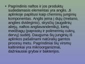 Grunto valymas 3 puslapis