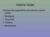 Grunto valymas 6 puslapis