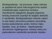 Grunto valymas 8 puslapis