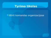 Grupės (komandos) normos, komandos sutelktumas 2 puslapis