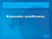Grupės (komandos) normos, komandos sutelktumas 12 puslapis